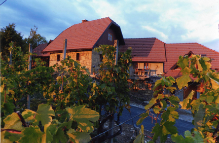 Anton's house in the vineyard