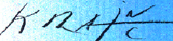 the artist's signature