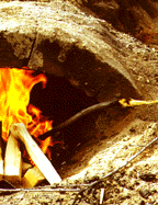 looking into the fire