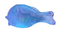 glass fish