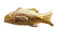 gold fish