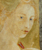 portrait of the huntress