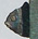 tiny fish